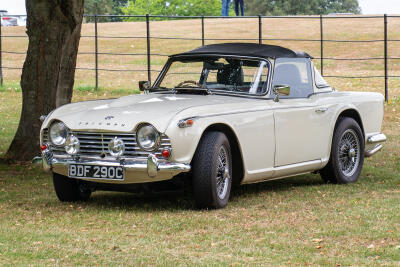 Brunel at Highnam Court Family Day - 5 July 2025