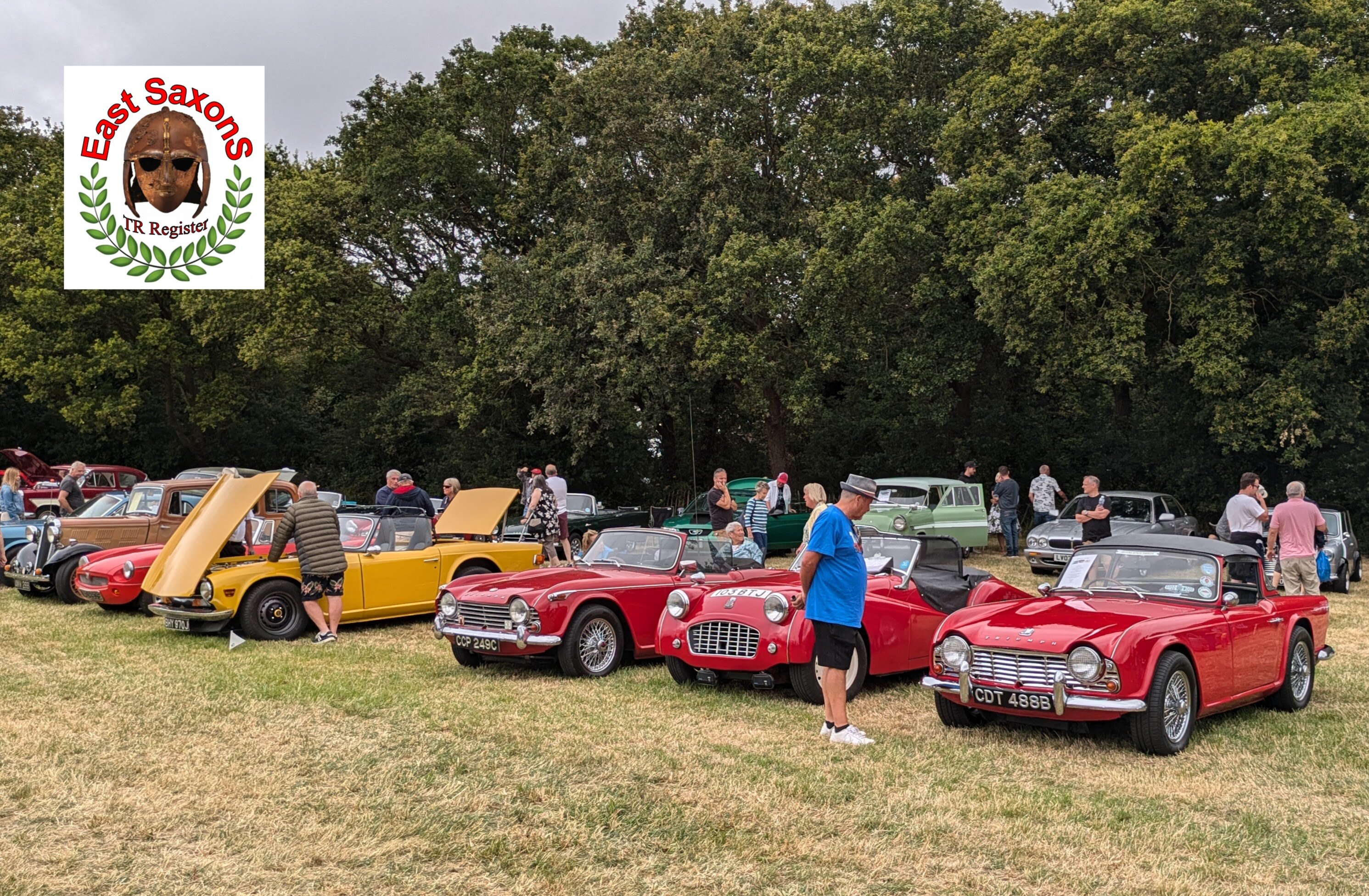 East Saxons at The Lawn Classic and Custom Car Show